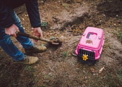 ʺKo me Milan pokliče po telefonu in joče, vem, kaj me čakaʺ