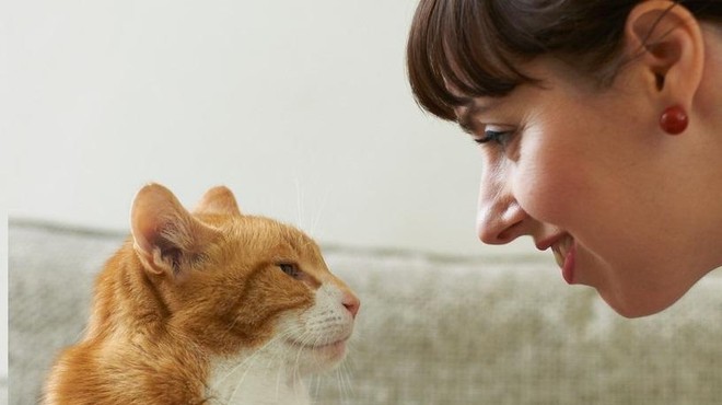 Z vašo mačko lahko komunicirate prek počasnega mežikanja – ste že poskusili? (foto: Profimedia)