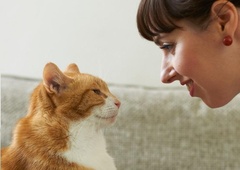 Z vašo mačko lahko komunicirate prek počasnega mežikanja – ste že poskusili?