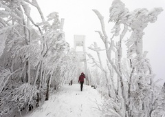 (FOTO) Slovenijo pobelil prvi sneg, Slovenci na družbenih omrežjih delijo idilične fotografije