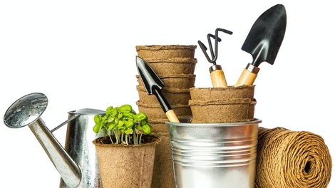 V Merkurju je zdaj na voljo nekaj, kar si želi vsak vrtičkar: cena je kar konkretno znižana, tako da se nabava preprosto splača