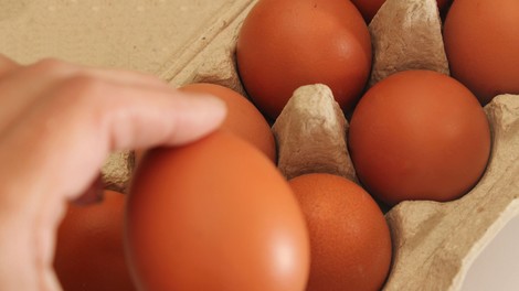 Nova epidemija? NIJZ izdal opozorilo, zaznali so povečano število salmoneloz