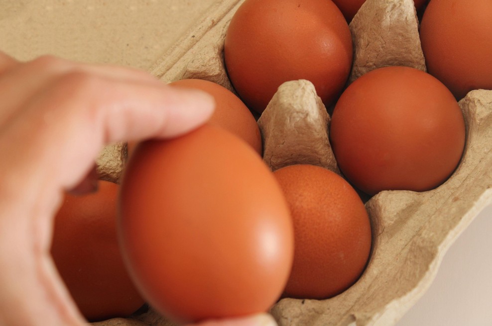 Nova epidemija? NIJZ izdal opozorilo, zaznali so povečano število salmoneloz (foto: Profimedia)