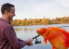 Britanski ribič ujel velikansko zlato ribico