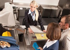 Letališki rentgen v kovčku pokazal obris – živega mačka!