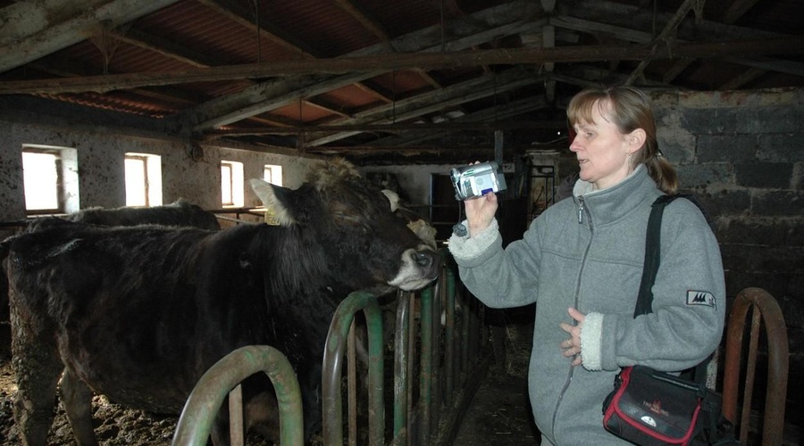 Grozljivi primeri zanemarjanja rejnih živali, državnega zavetišča zanje pa ne potrebujemo? (foto: Profimedia)