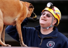 Strmoglavilo letalo, na katerem je bilo 53 psov, namenjenih v zavetišča