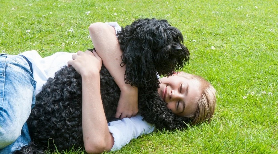 Družina pokopala psičko, ki se je pet dni po pogrebu sama vrnila domov (foto: Profimedia)