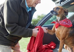 To so uporabni nasveti za nego psa pozimi