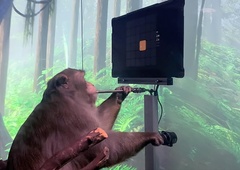 Elon Musk napoveduje raziskavo na ljudeh: v njihove možgane želi vsaditi 'pametni' implantant