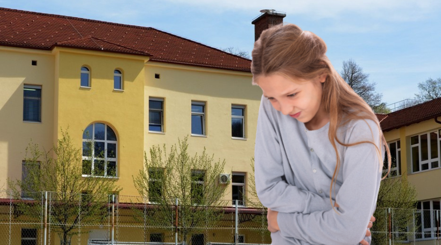 Učenci in učitelji v Laškem z množičnimi prebavnimi težavami: v tem tičijo razlogi (foto: OŠ Primoža Trubarja Velike Lašče/Profimedia/fotomontaža)