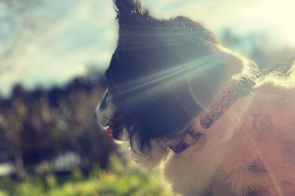Znana slovenska voditeljica šokirana nad neznancem: razkrila je, kaj se je zgodilo njeni materi (foto: Instagram /Tanja Kocman)