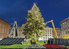 Pri sosedih razburja božično drevo: kaj je šlo narobe?