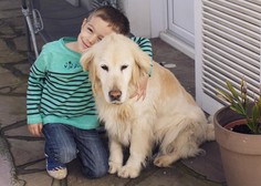 5 pasem psov, ki so primerne za družine z otroki