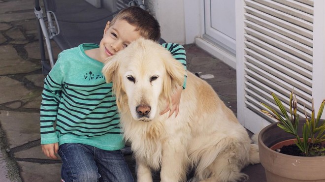 5 pasem psov, ki so primerne za družine z otroki (foto: Profimedia)
