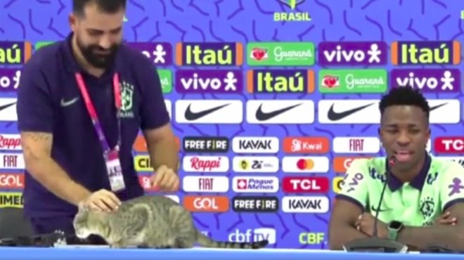 Sramota na tiskovni konferenci brazilske reprezentance: tiskovni predstavnik zagrabil mačko, potem pa ... (VIDEO) (foto: R Soccer/posnetek zaslona)