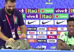 Sramota na tiskovni konferenci brazilske reprezentance: tiskovni predstavnik zagrabil mačko, potem pa ... (VIDEO)