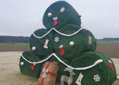 Človeška domišljija ne pozna meja: takšno božično drevo so postavili na vzhodu Slovenije