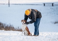 V prihajajočih dneh flexi povodec ne bo dovolj, treba bo dodatno povečati varnost