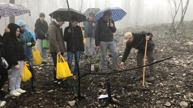 Z dežniki v rokah je več kot 150 srčnih prostovoljcev pomagalo saditi drevesa na Krasu (FOTO) (foto: Center obnove pogorelega Krasa)