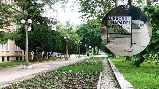 V mestnem parku primorani posekati kar 40 dreves: gibanje tam ne bo dovoljeno (foto: Facebook/Mestna občina Maribor/fotomontaža)