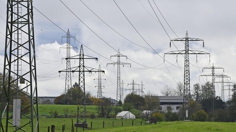 Za koga vse bi vlada omejila ceno elektrike in plina?