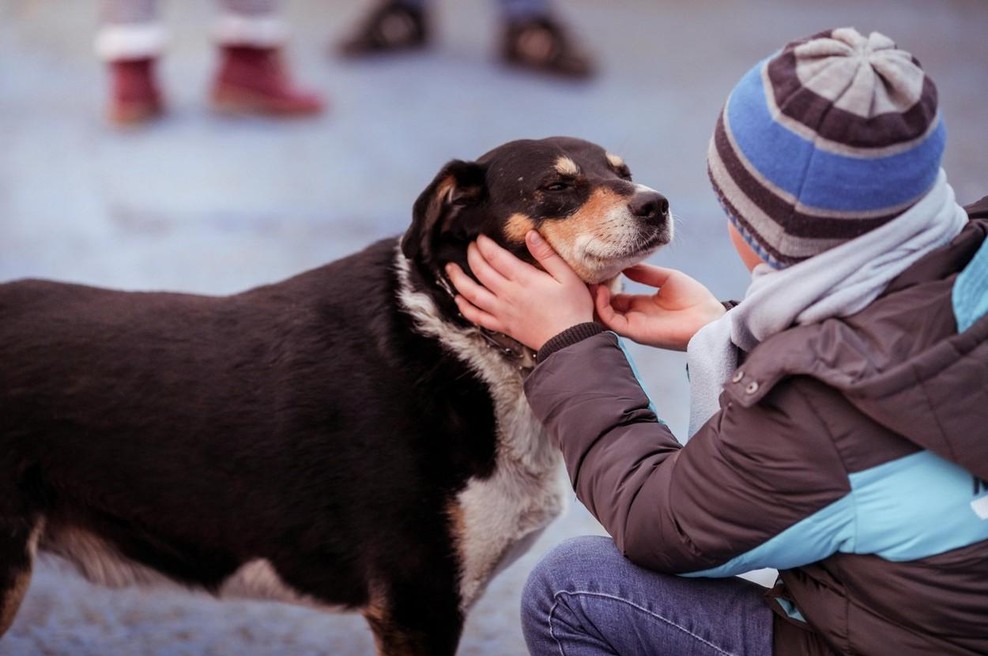 Dekle na prav poseben način pridobilo pozornost prestrašenega, lačnega in bolnega uličnega psa (foto: Profimedia)