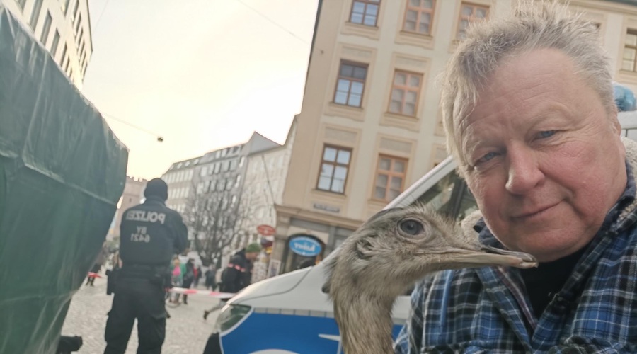 Slovenci so ga oboževali, zdaj je v rokah Nemcev: priljubljen Nani je bil odvzet lastniku (foto: Kmetija Cetin/Facebook)