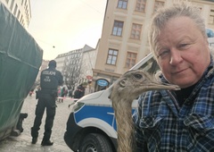 Slovenci so ga oboževali, zdaj je v rokah Nemcev: priljubljen Nani je bil odvzet lastniku