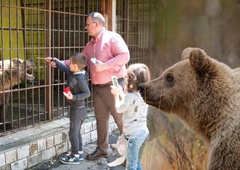 Marko, zadnji albanski 'medved iz gostilne', po 20 letih rešen ujetništva