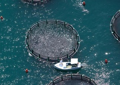 Edinstvena doživetja: nekaj takega lahko turisti počnejo le v Sloveniji