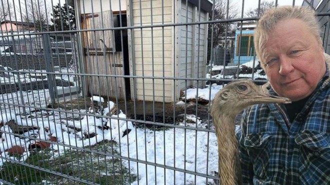 Grozljive razmere v nemškem pasjem zavetišču, kamor so peljali nanduja Nanija (foto: Facebook/Kmetija Cetin/fotomontaža dveh fotografij)