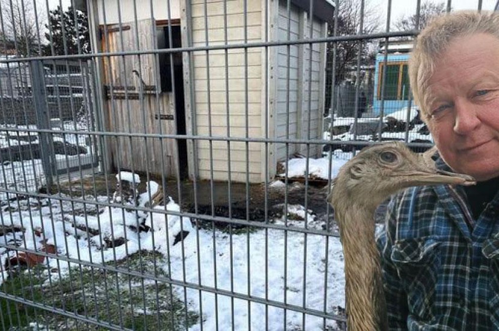Grozljive razmere v nemškem pasjem zavetišču, kamor so peljali nanduja Nanija (foto: Facebook/Kmetija Cetin/fotomontaža dveh fotografij)