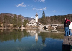 Psička plavala v Bohinjskem jezeru in poginila: rezultati obdukcije razkrili presenetljive rezultate
