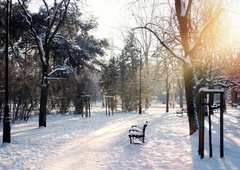 Bo v zadnjem tednu letošnjega leta končno zapadel sneg?