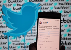 Elon Musk končno čivknil potem, ko so uporabniki Twitterja izglasovali njegov odstop s šefovske pozicije