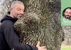 To so rastline z najlepšo okrasno skorjo (FOTO)