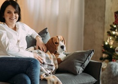 Božični čudež: Tik pred prazniki so ga odvrgli na cesti, a usoda je poskrbela zanj