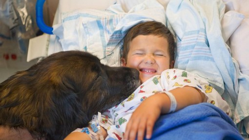 Malim bolnikom v jeseniški bolnišnici praznike polepšal obisk policijskih psov