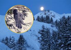 Močno opitega Slovenca celo noč iskali na avstrijskem smučišču