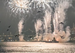 ʺZaradi novoletnih ognjemetov vsako leto umre več tisoč pticʺ