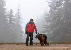 Kako se je razpletlo iskanje psičke Noe, ki se je izgubila na poti v Tamar?
