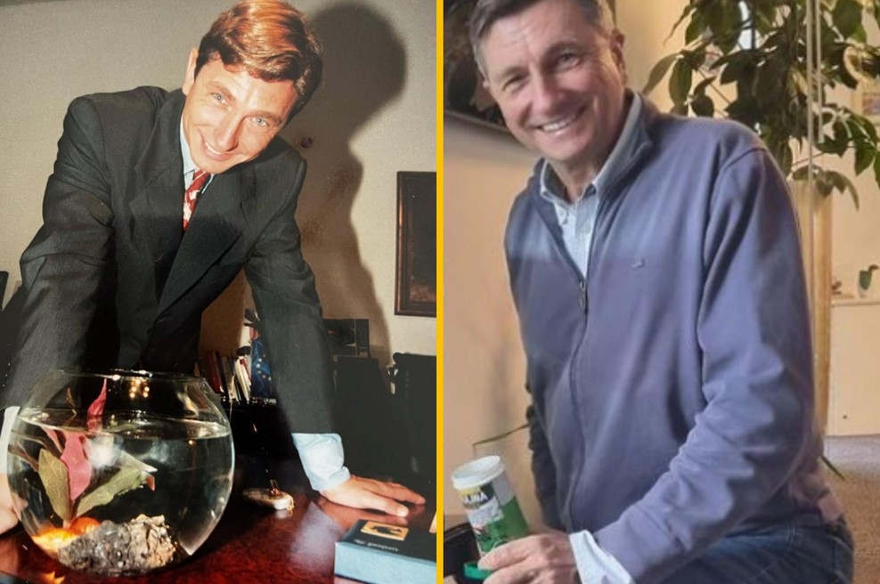 Kaj se je zgodilo s Pahorjevimi ribicami? Moral jih je odnesti iz predsedniške palače, zdaj so ... (FOTO) (foto: Instagram/Borut Pahor)