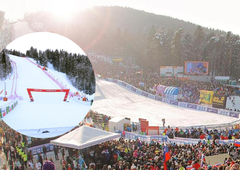 V Mariboru si želijo, da se Zlata lisica vrne "v domači brlog"