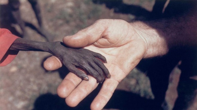 Roka, ki ni videti kot s tega planeta, je razkrila vso bedo človeštva (foto: Mike Wells)