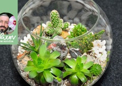 Kako si lahko sami naredite vrtiček v steklenici ali kozarcu