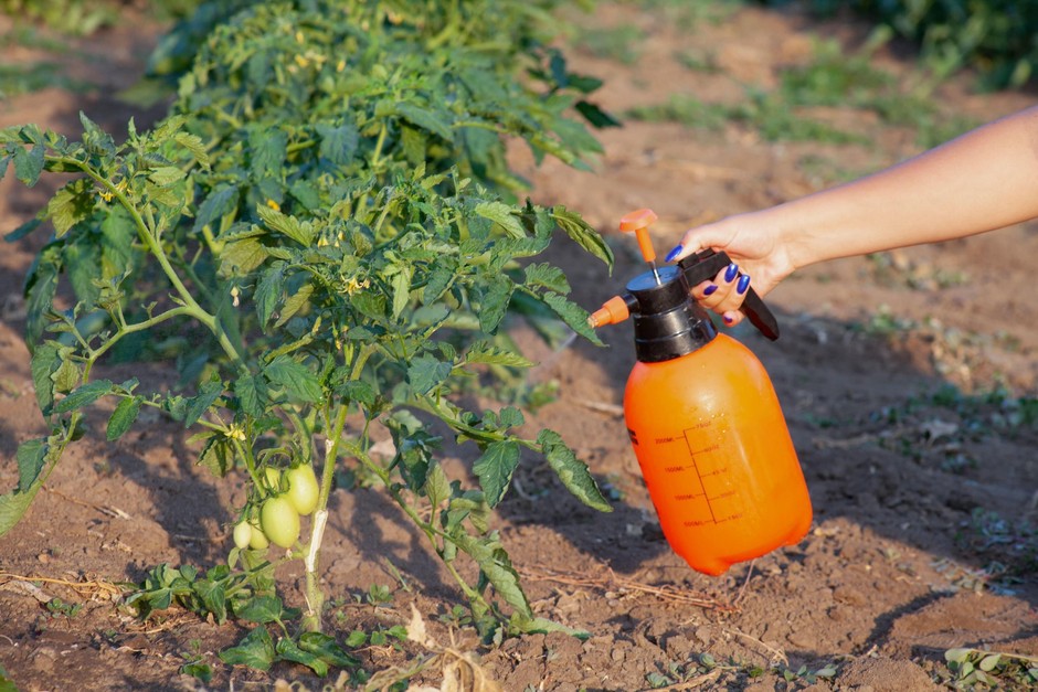 2. Atrazid Kje ga najdemo: v herbicidu, ki se običajno uporablja za zatiranje plevela na pridelkih. Škodljive posledice: spreminja hormonsko …