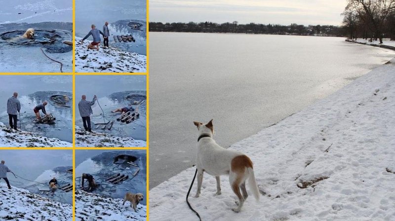 Moški je iz ledenega jezera rešil psa.