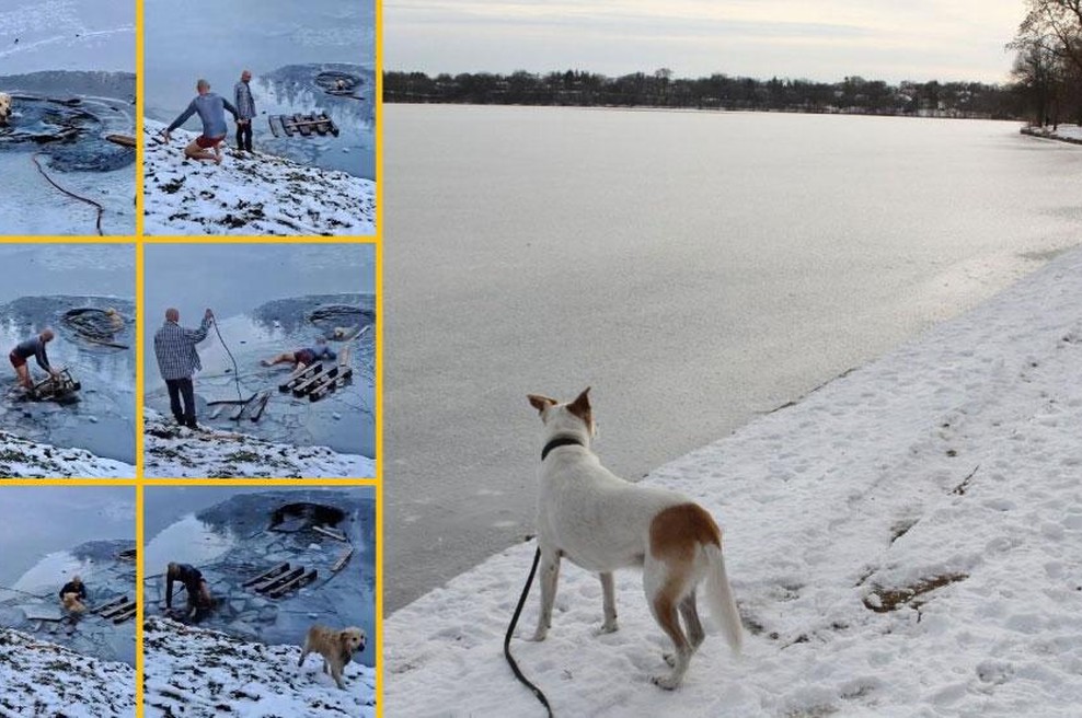 Junaško dejanje: skočil v poledenelo jezero in rešil psa (VIDEO) (foto: Facebook Bojan Kokol/profimedia)