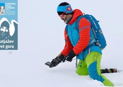 Zakaj je plazovna žolna bistveno cenejša od vsakega pogreba ali na kaj moramo biti pozorni pri nakupu